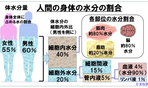 津力达价格网津力达价格一览表2023知识网站,分享津力达的毒性有多强大全